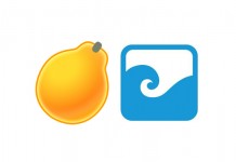 PapayaMobile AppFlood