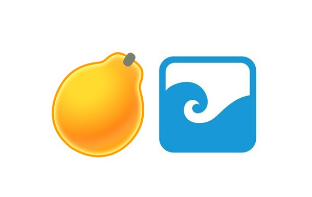 PapayaMobile AppFlood